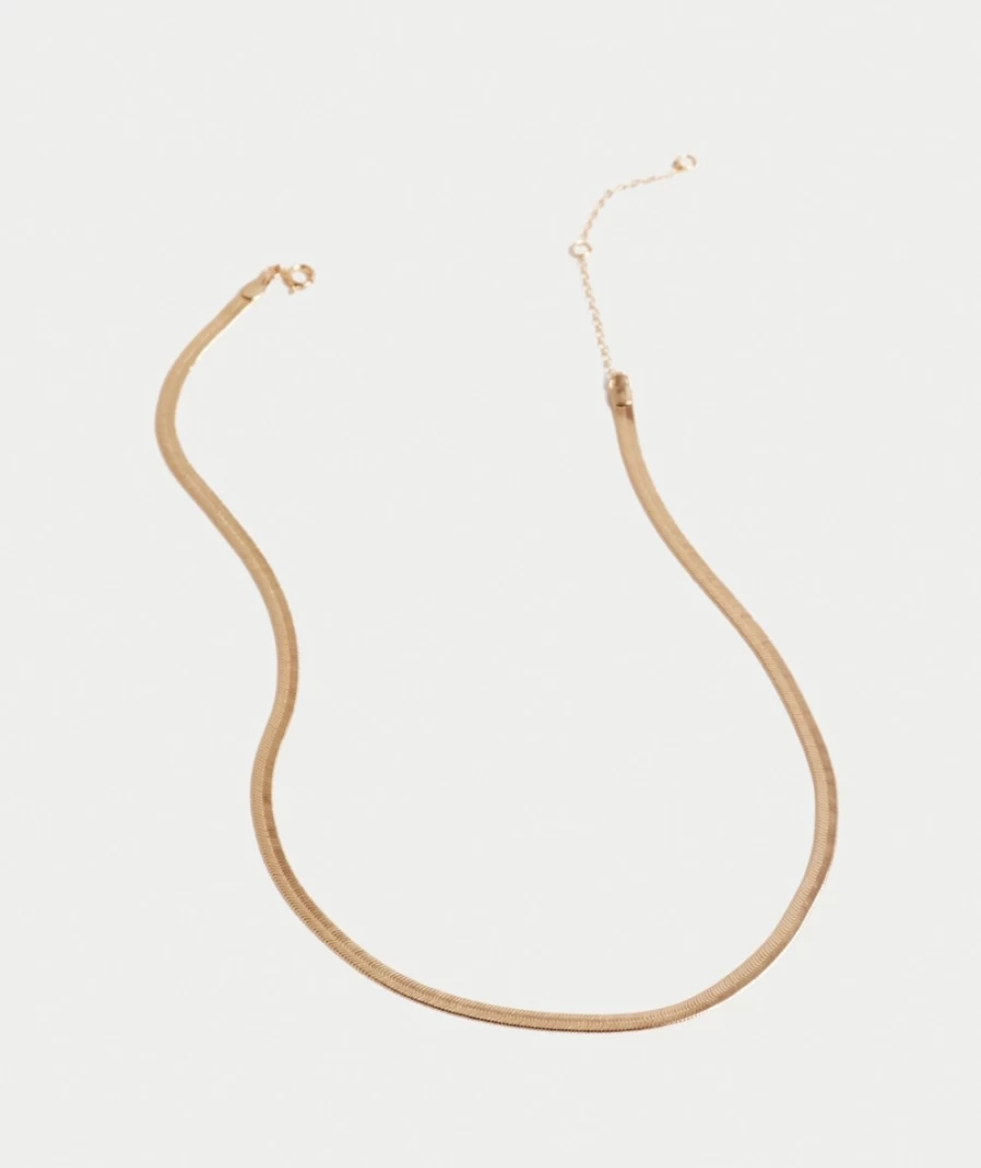 Sportsgirl Women's Gold Plated Snake Chain Necklace