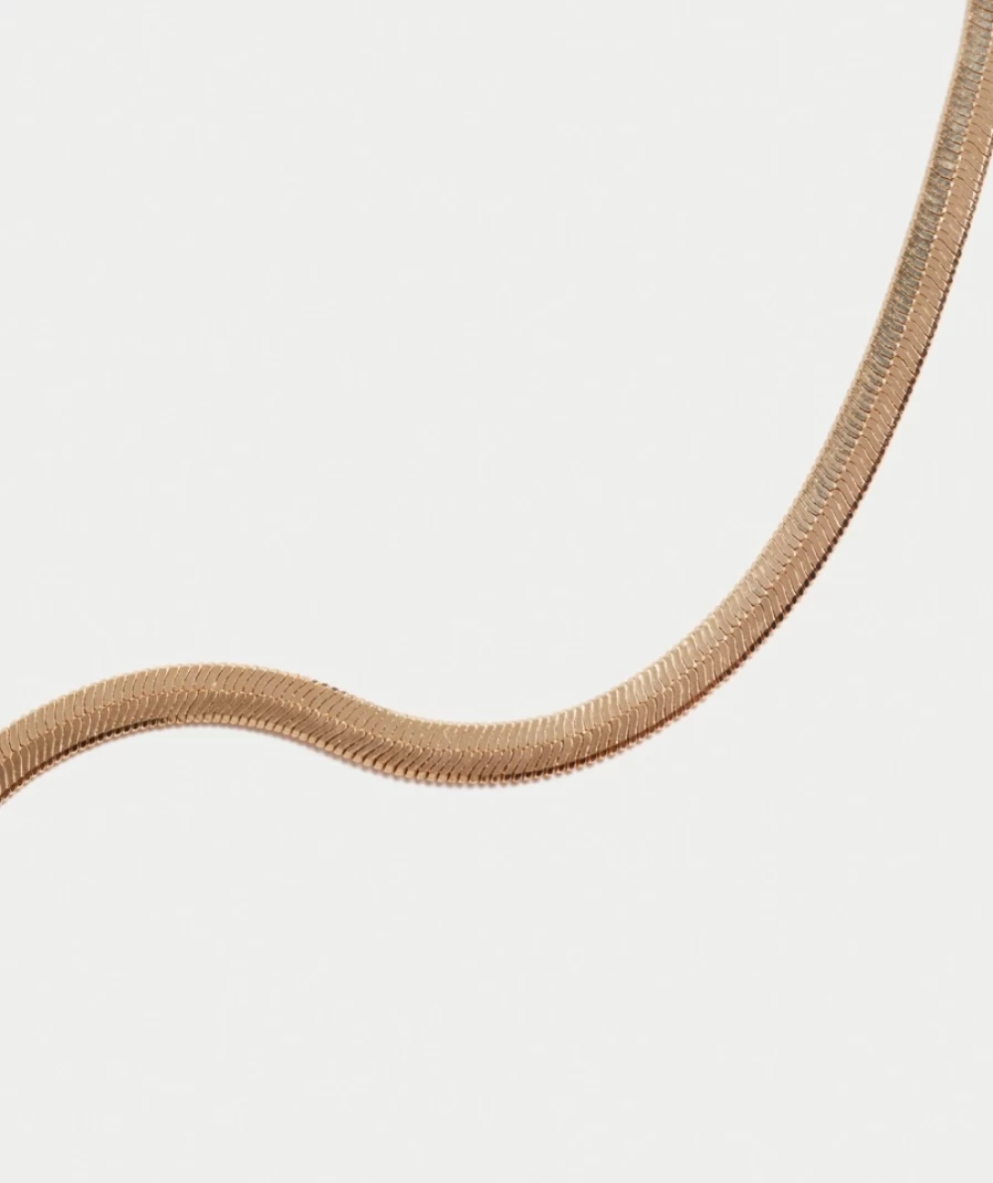 Sportsgirl Women's Gold Plated Snake Chain Necklace
