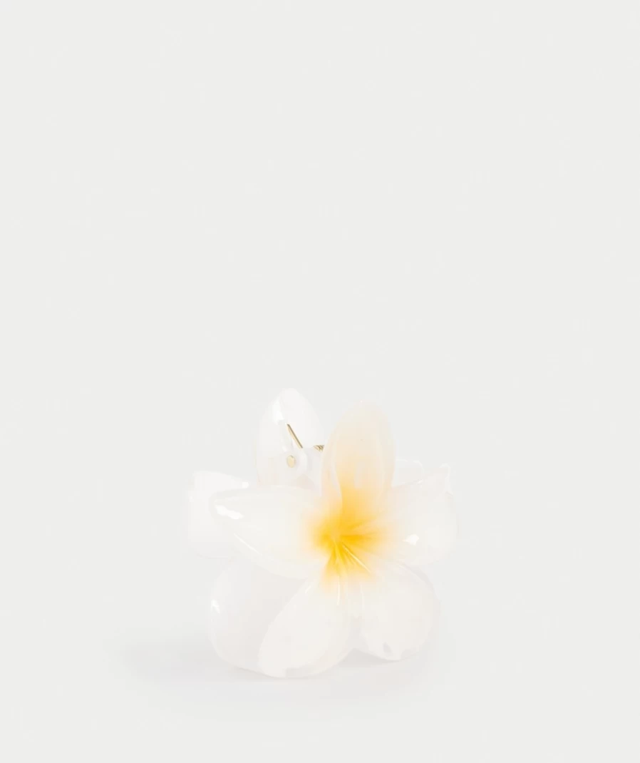 Sportsgirl Women's White Summer Daisy Hair Claw Clip